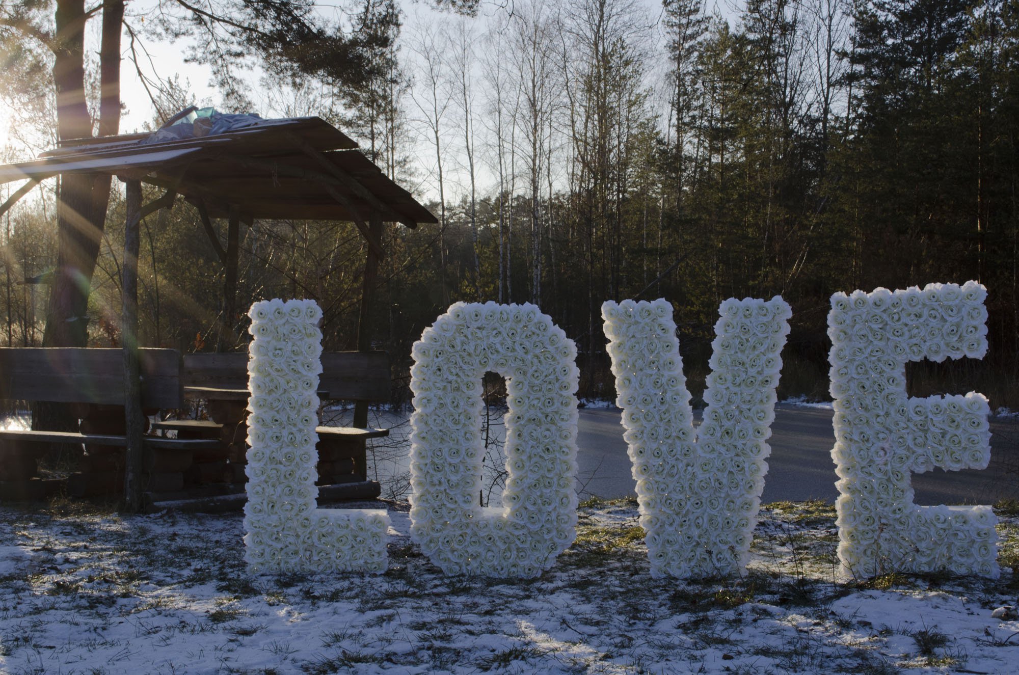 Oryginalne litery LOVE zdobione różami na wynajem