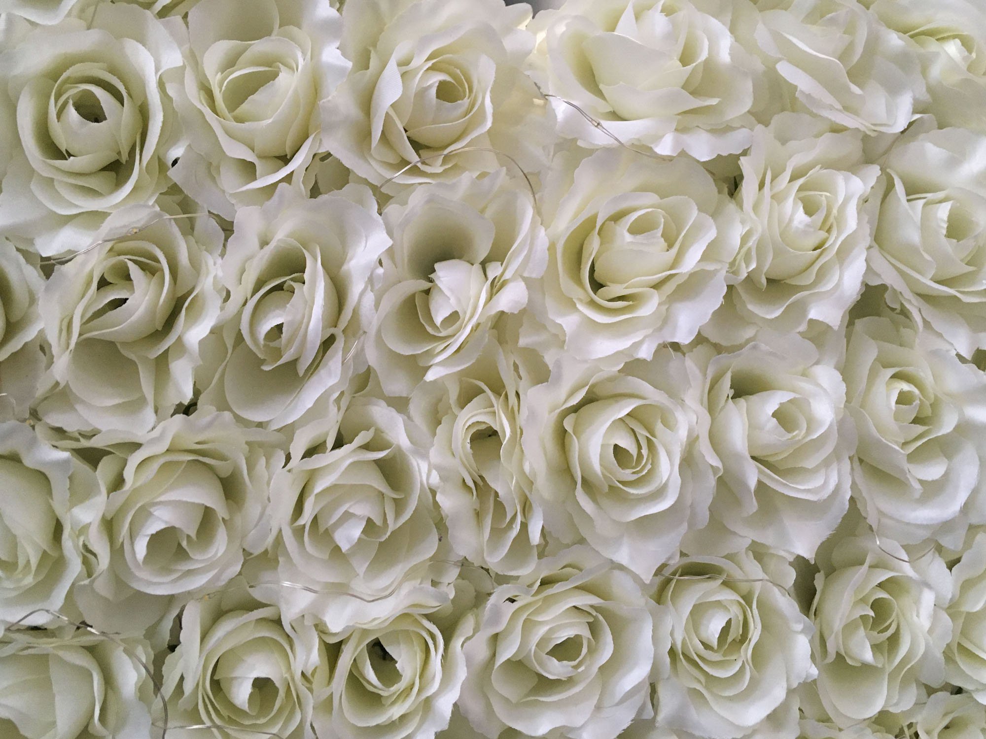 Napis LOVE na wynajem, wielkie litery podświetlane LED z prawie 500 szt róż