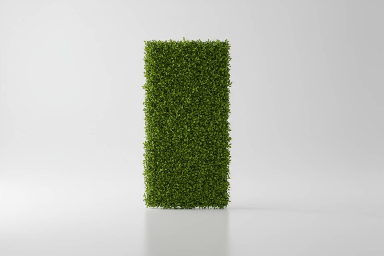 Ścianka bukszpanowa na wynajem – pojedynczy panel